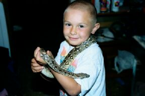 my son and a dumerals boa